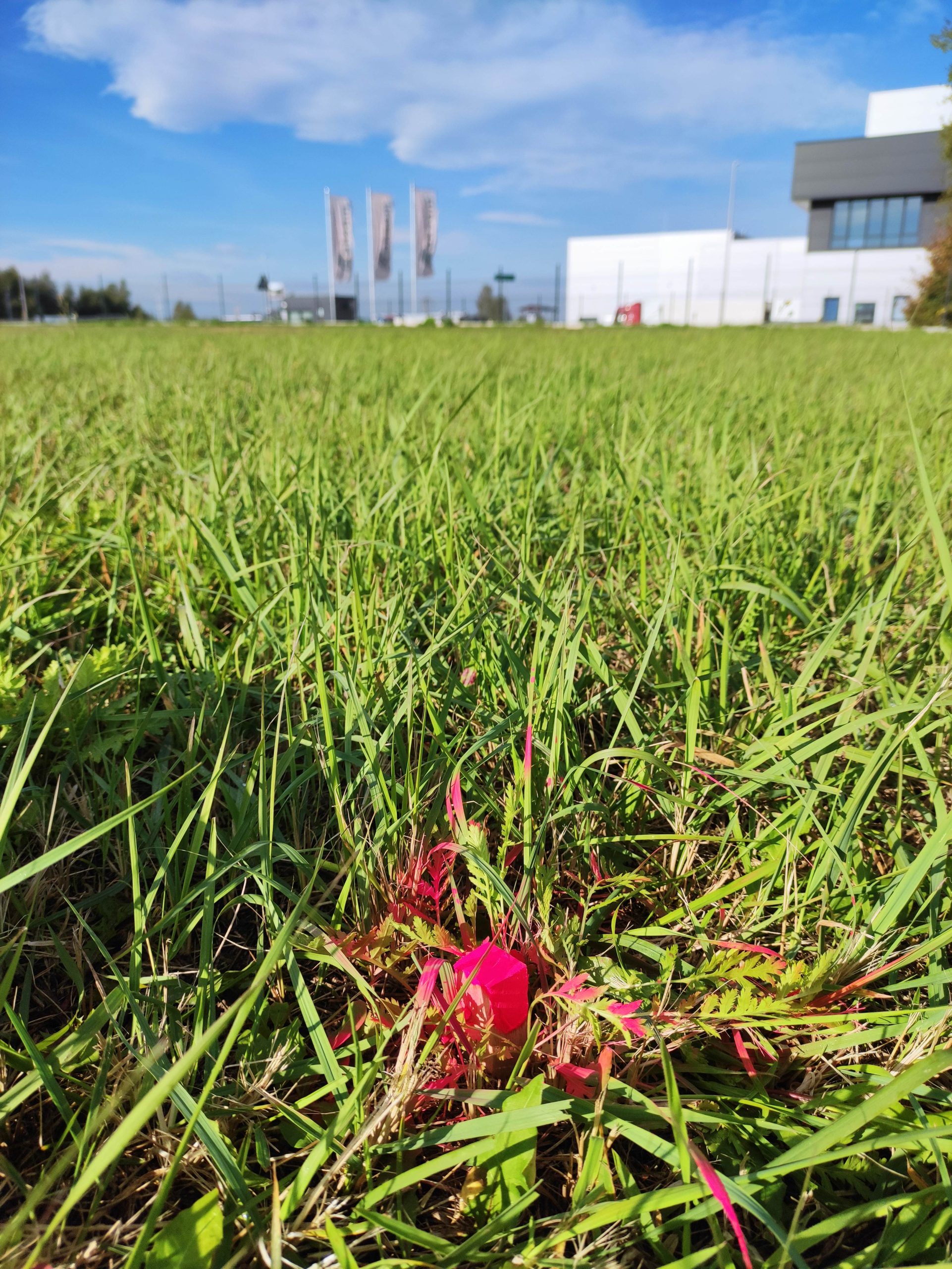 wyznaczanie granic działek - podział nieruchomości - usługa geodezyjna